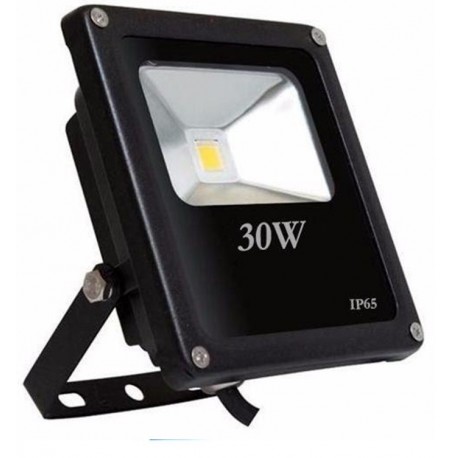 REFLECTOR 30W LED